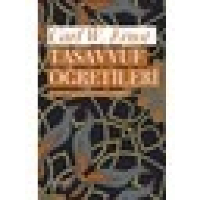 Tasavvuf Öğretileri - Carl W. Ernst