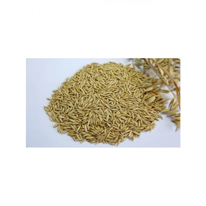 Tatlandırıcısız Yulaf Kuş Yemi - 300 Gr