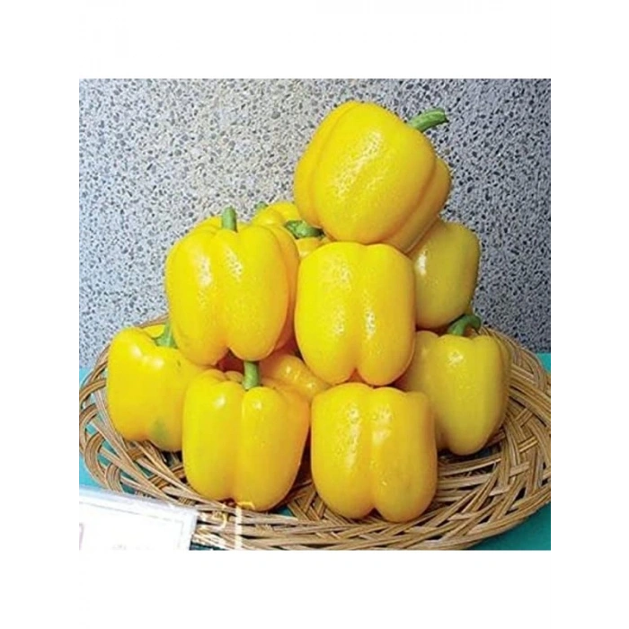 Tatlı Sarı Dolmalık Biber Fidesi, 4 Adet Set ile
