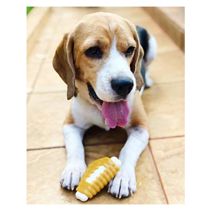 Tavuk Aromalı Çiğneme Köpek Oyuncağı, 11 cm