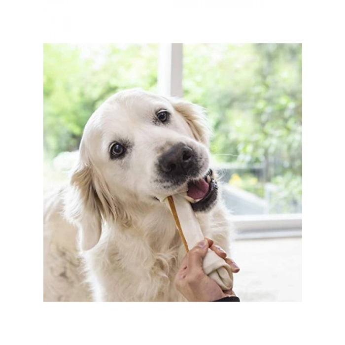 Tavuk Aromalı L Boy Kemik Ödülü - 85 gr