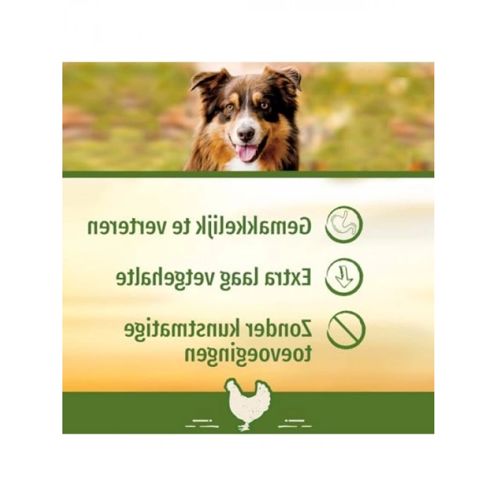 Tavuklu Mini Kemik Köpek Ödülü - 8li, 128 Gr