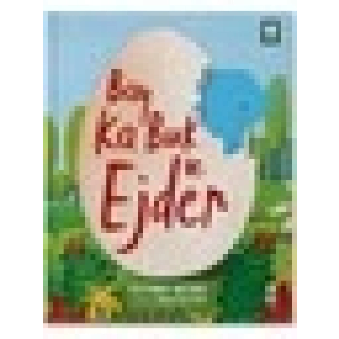 Taze Kitap Bay Ka Buk ve Ejder (10. Yıl Özel Baskı)