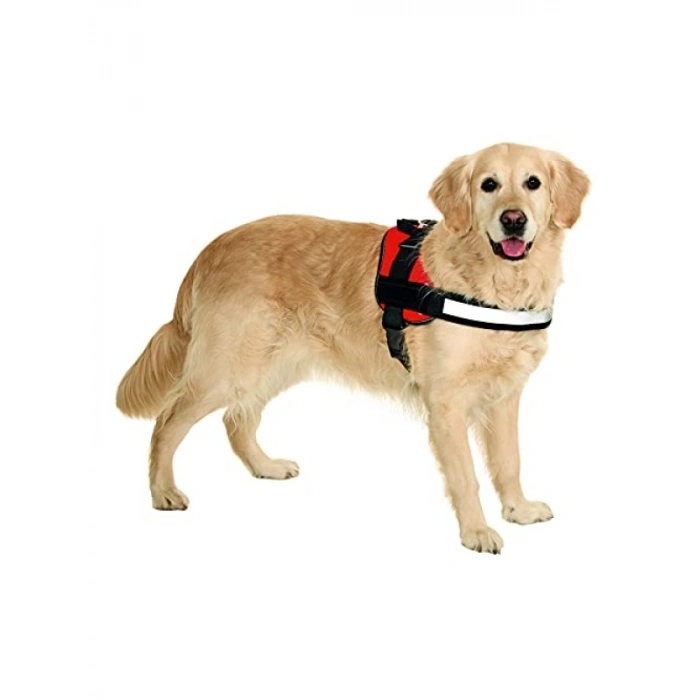 Teflon Reflektörlü Siyah İsimli Göğüs Tasması, S Boyut (55-68 cm)