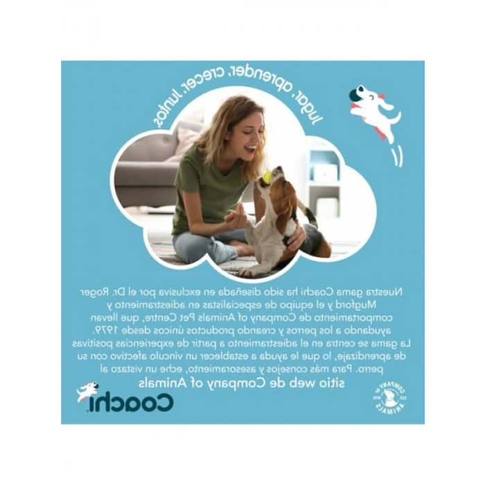 Teleskopik Hedef Çubuğu - Köpek Eğitimi için İdeal Aksesuar