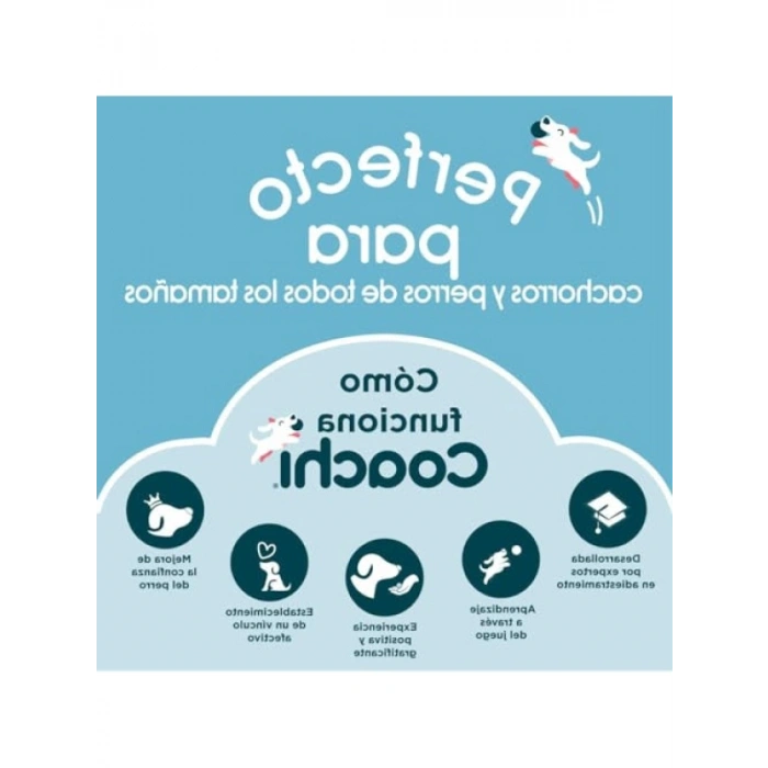 Teleskopik Hedef Çubuğu - Köpek Eğitimi için İdeal Aksesuar