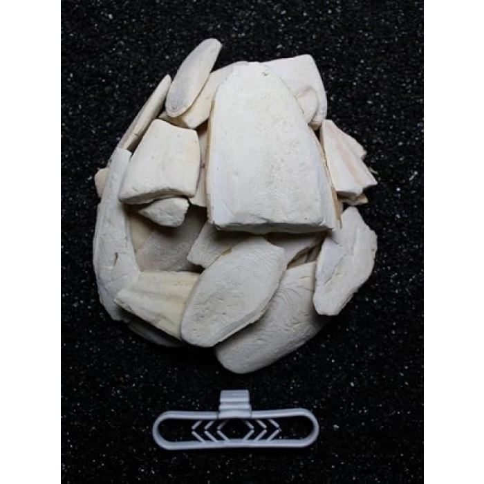 Temizlenmiş Kırık Kalamar Kemiği - 100 gr