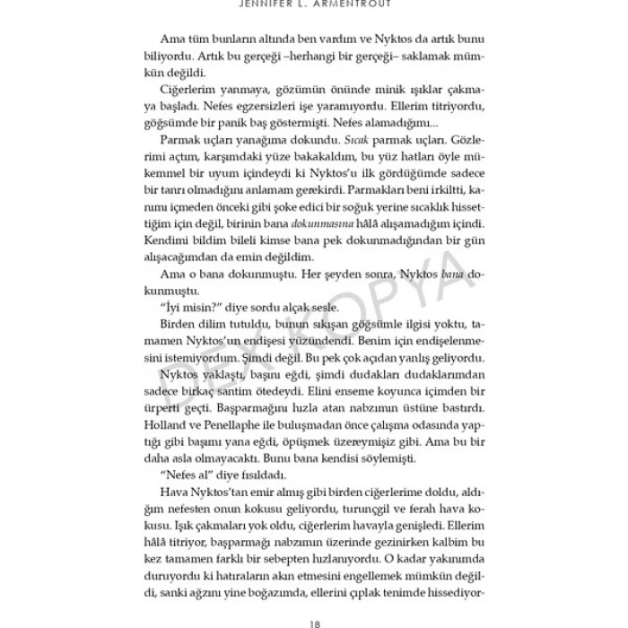 Ten ve Ateş 2: Alevdeki Işık - Jennifer L. Armentrout
