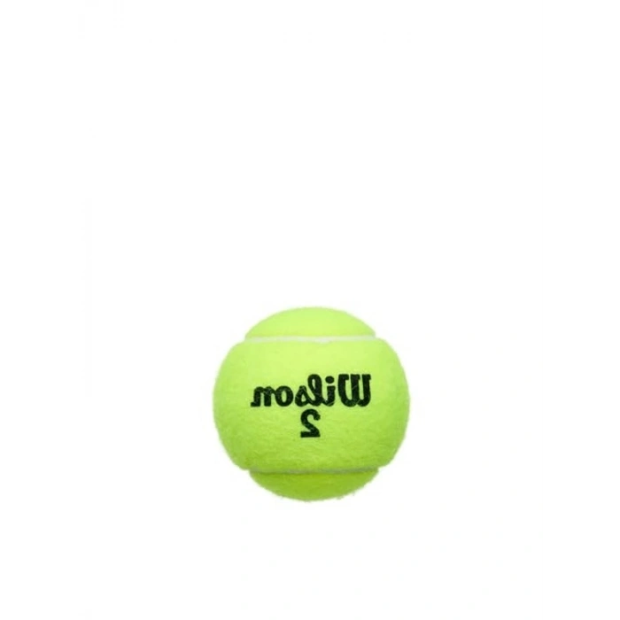 Tennis Balls - Champ Extra Duty