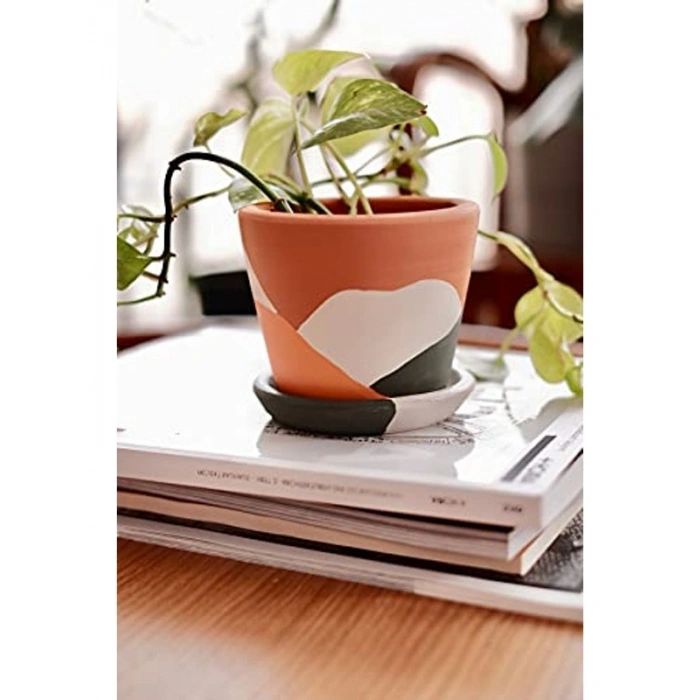 Terracotta Savana Saksı - Orta Boy, Yeşil ve Sarı Renk