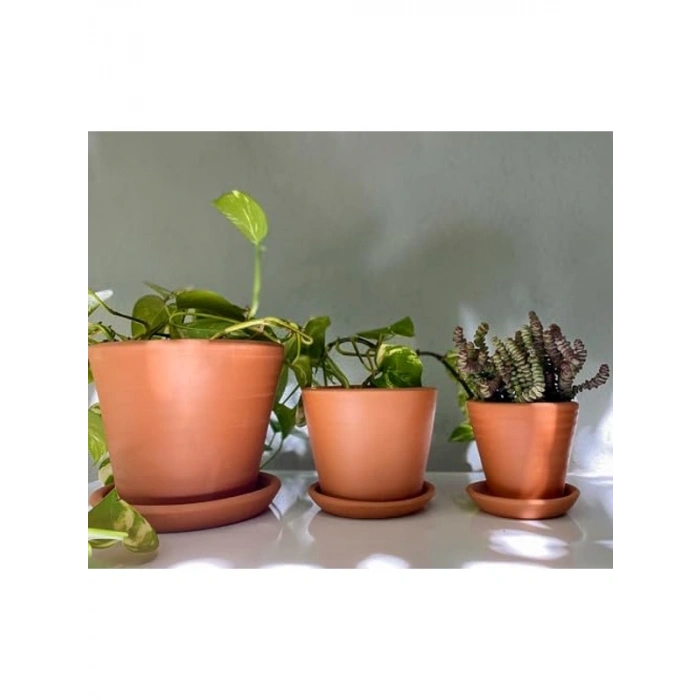 Terracotta Savana Saksı - Orta Boy, Yeşil ve Sarı Renk