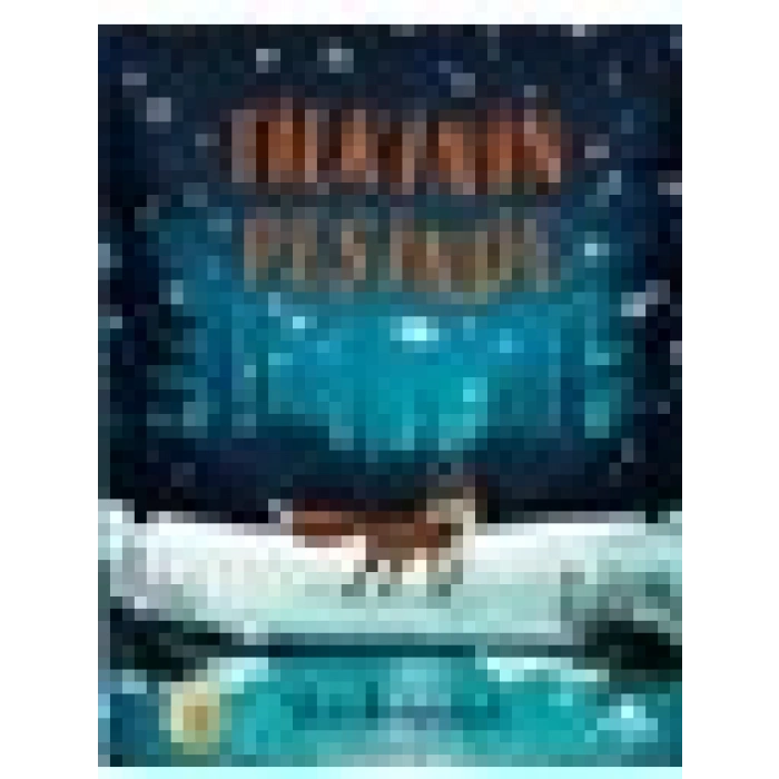Tilkinin Peşinde - Rob Biddulph