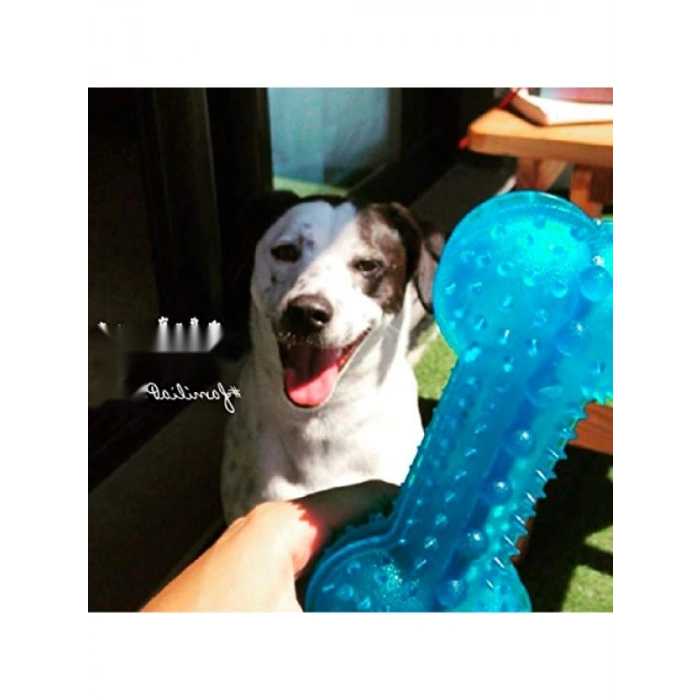 Tırtıklı Kemik Köpek Oyuncağı, 12 cm