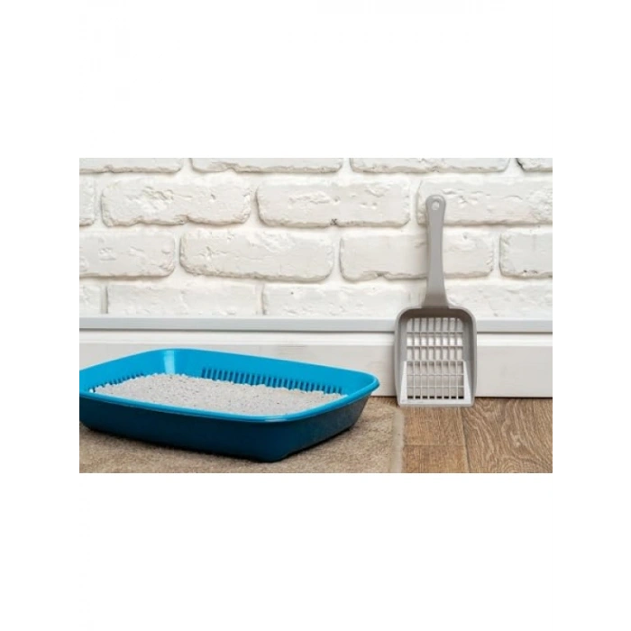 Topaklanan Tozsuz Kedi Kumu, Grey Activated Control, 10 Lt