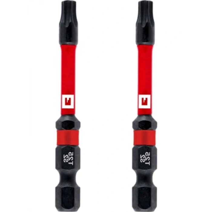 Torx Bits Uç Seti, T25 - 60 mm, 2 ADET