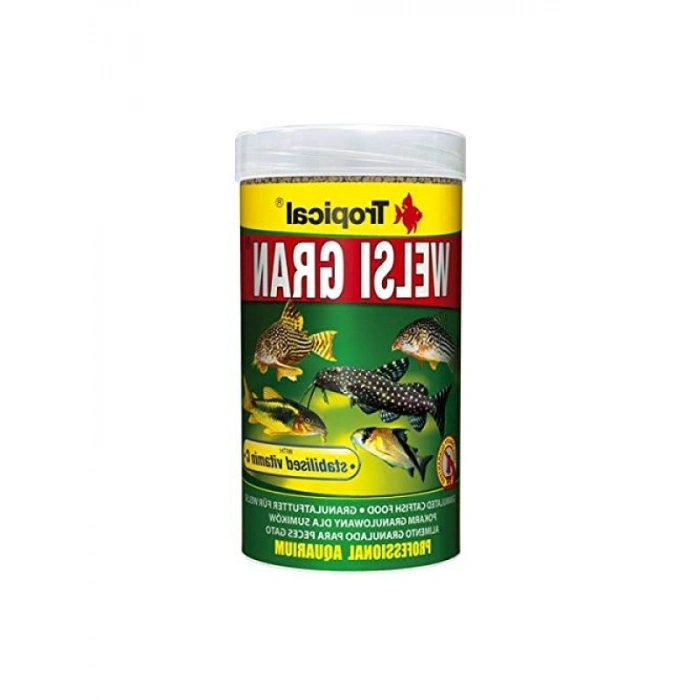 Tropikal Welsi Gran Mama - 100gr Kovadan Bölme