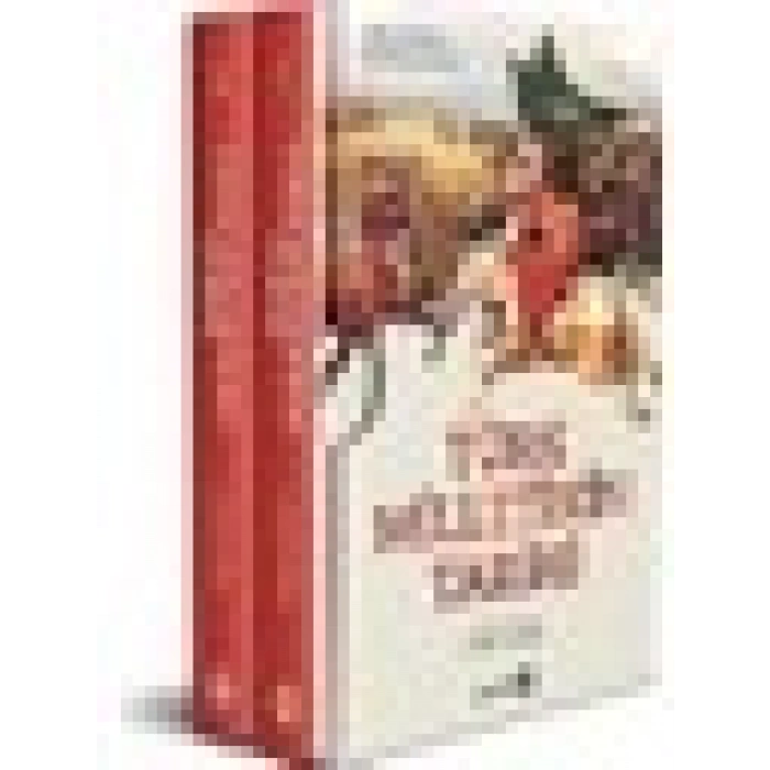 Türk Milletinin Tarihi (2 Kitap Takım Kutulu)