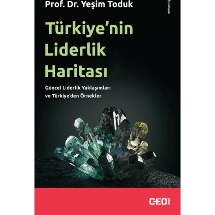 Türkiye’nin Liderlik Haritası