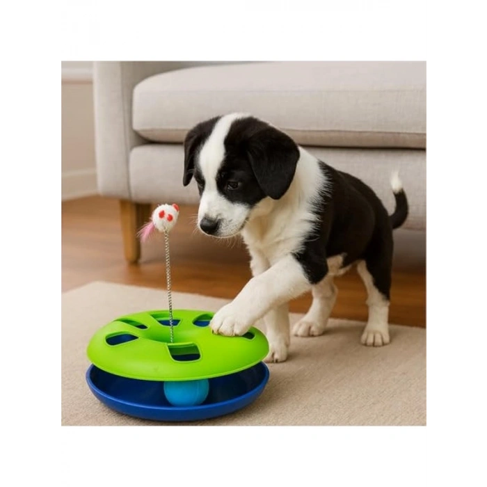 Turuncu renkli, dönme toplu ve yaylı fareli kedi oyuncağı
