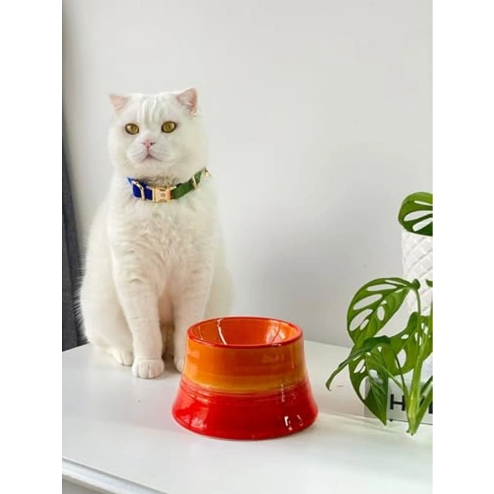 Turuncu Seramik Kedi ve Köpek Mama Su Kabı - Colorful Moon Bowl