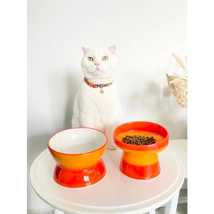 Turuncu Seramik Kedi ve Köpek Mama Su Kabı, Luna Model, 2li