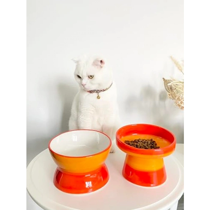 Turuncu Seramik Kedi ve Köpek Mama Su Kabı, Luna Model, 2li