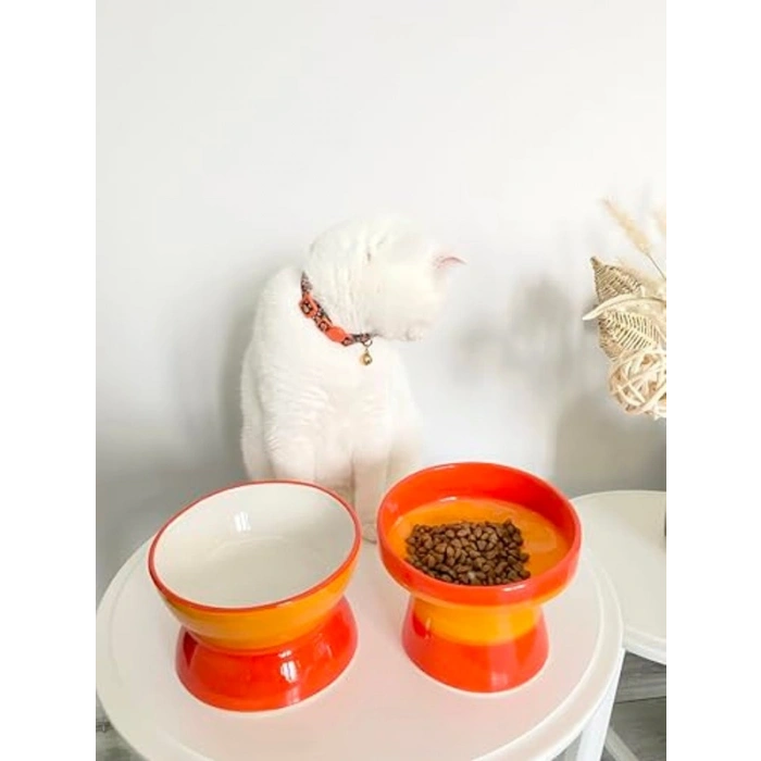 Turuncu Seramik Kedi ve Köpek Mama Su Kabı, Luna Model, 2li