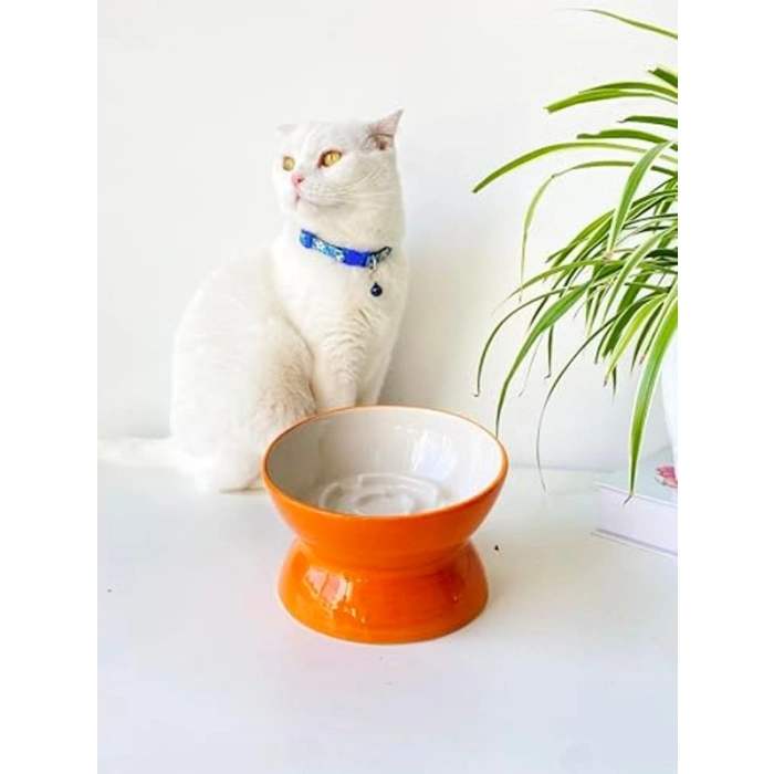 Turuncu Seramik Yavaş Yeme Kedi Mama Kabı, Estetik Tasarım