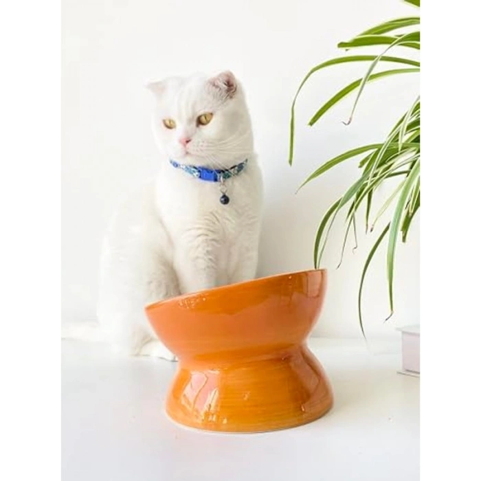 Turuncu Seramik Yavaş Yeme Kedi Mama Kabı, Estetik Tasarım