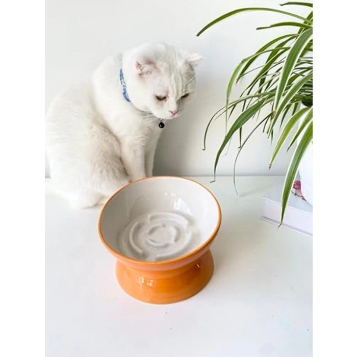 Turuncu Seramik Yavaş Yeme Kedi Mama Kabı, Estetik Tasarım