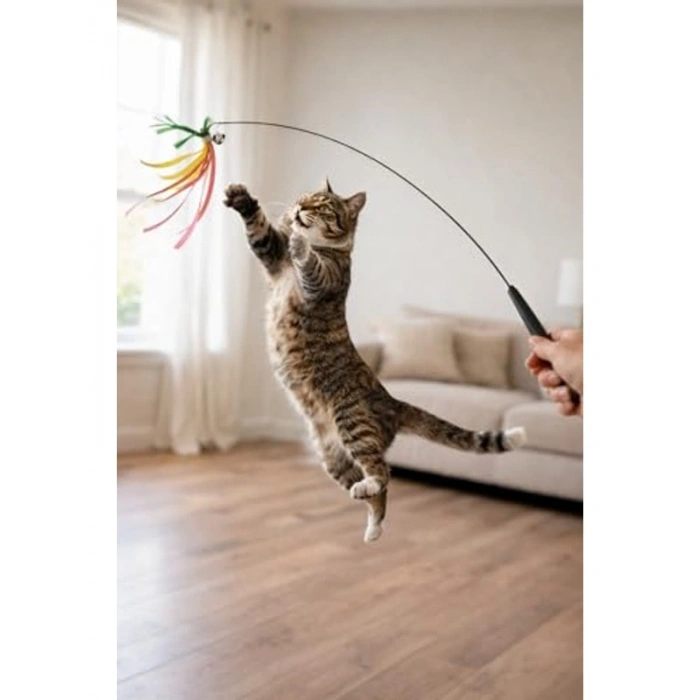 Tüylü Renkli Kedi Oltası Oyuncağı, İnteraktif