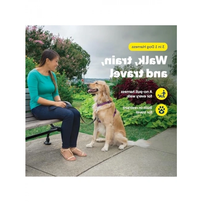 Tuzlu Su Uzun Yem - Sarı Baby Striper, 15.5 cm, 25g