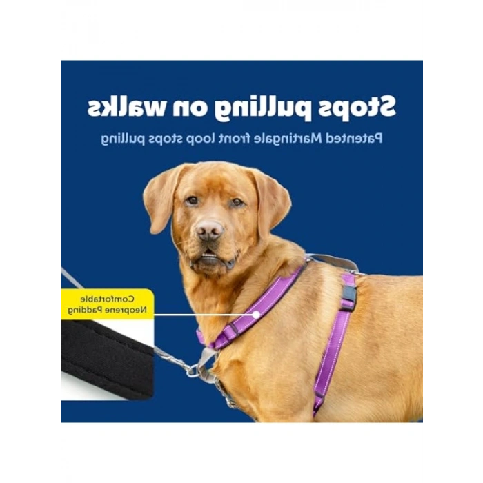 Tuzlu Su Uzun Yem - Sarı Baby Striper, 15.5 cm, 25g