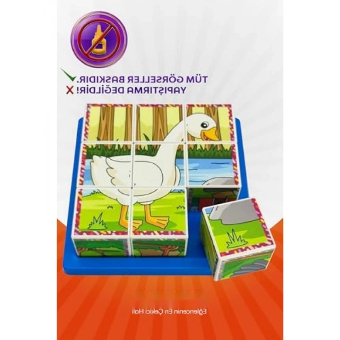 Uçan Hayvanlar 3D Puzzle Seti - 9 Küp ve 6 Yapboz