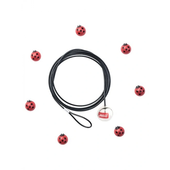 Uğurböceği Tasarımlı Fotoğraf Tutacağı