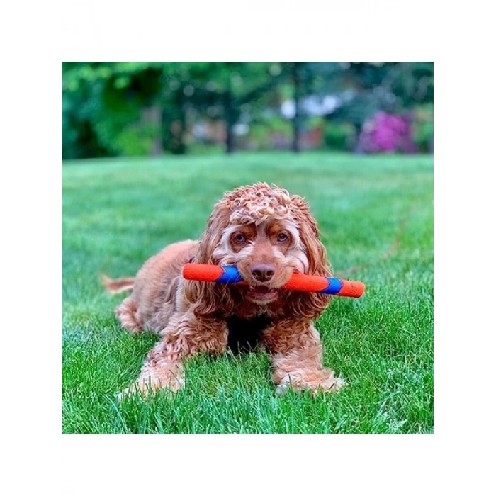 Ultra Fetch Stick Köpek Oyuncağı