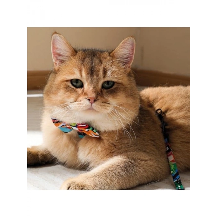 Urban Style Freestyle Pati Desenli Papyon (M)