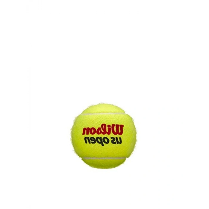 US Open Tennis Balls