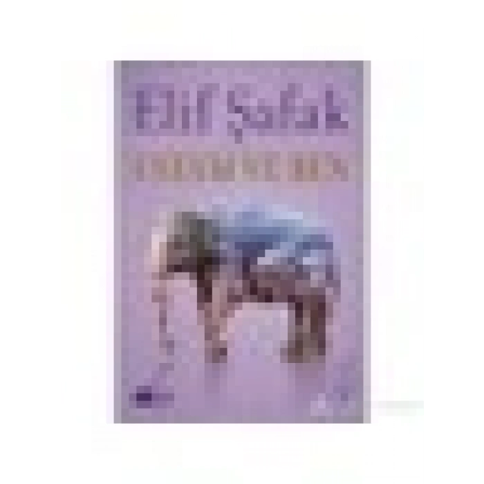 Ustam ve Ben - Elif Şafak