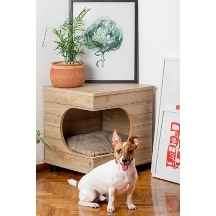 Üstü Kapalı Kedi ve Köpek Kulübesi - Hava Koşullarına Dayanıklı