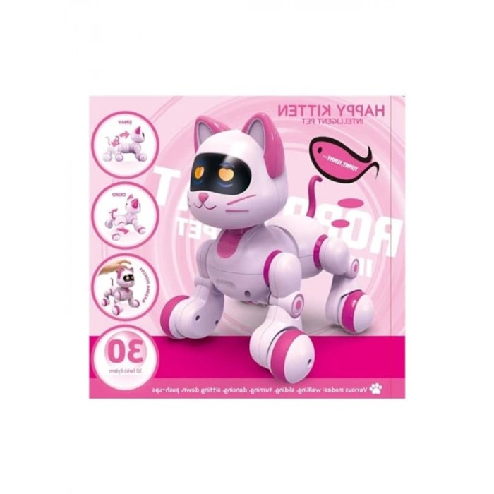 Uzaktan Kumandalı Akıllı Kedi, İnteraktif Model