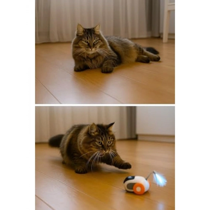 Uzaktan Kumandalı Kedi Oyuncağı, 2 Modlu Hareketli Araba