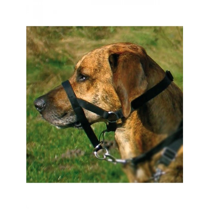 Uzman Köpek Eğitim Tasması - XL Beden, 46 cm