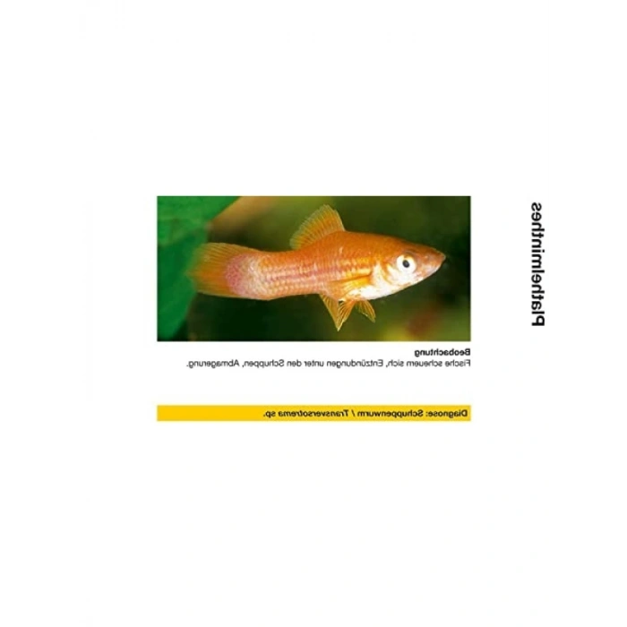 Uzun Süreli Kullanım İçin Mantar Giderici 50 ml