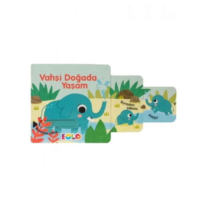 Vahşi Doğada Yaşam (Hareketli Kitap & Kaydır Gör)