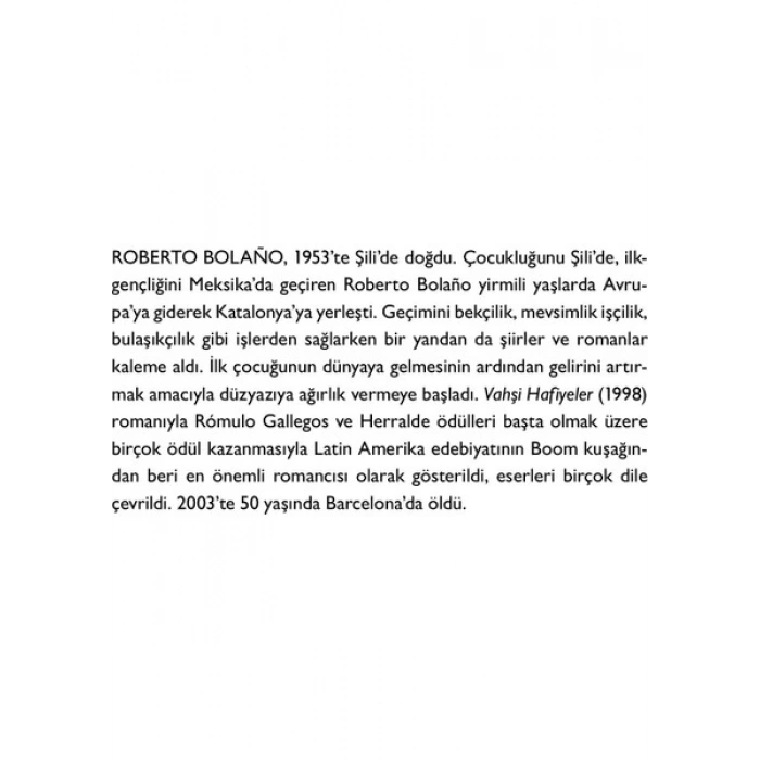 Vahşi Hafiyeler - Roberto Bolano