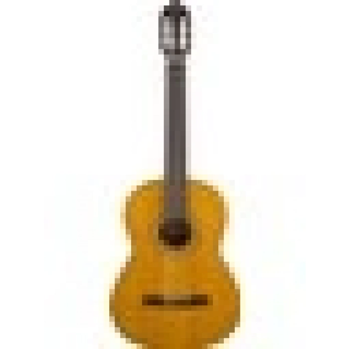 Valencia VC204 Klasik Gitar (Kılıf Hediyeli)