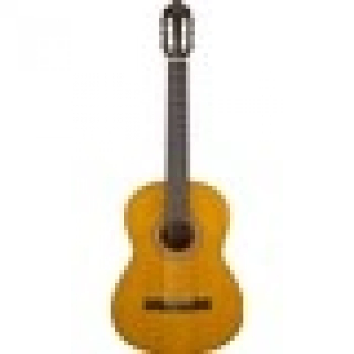 Valencia VC204 Klasik Gitar (Kılıf Hediyeli)
