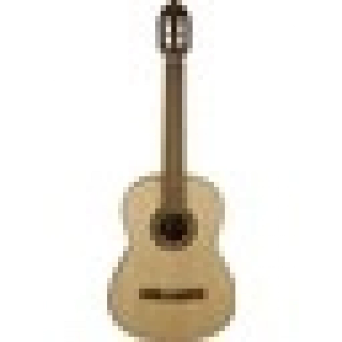 Valencia Vc304 Klasik Gitar (Kılıf Hediyeli)