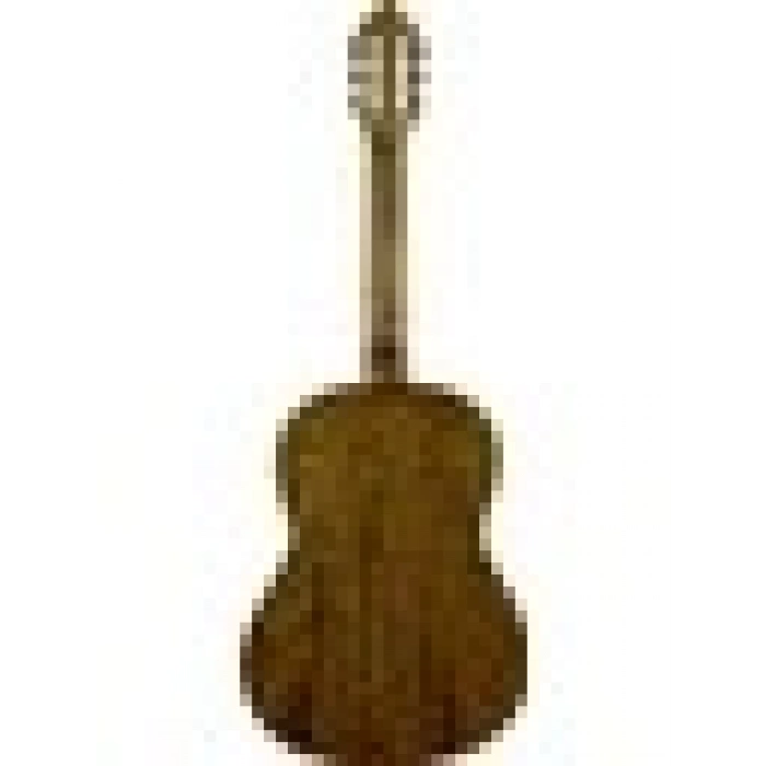 Valencia Vc304 Klasik Gitar (Kılıf Hediyeli)